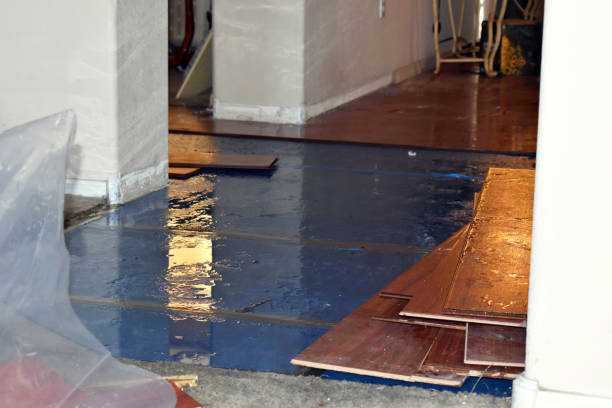 Professional Basement Flood Cleanup technician working in Adams, TN
